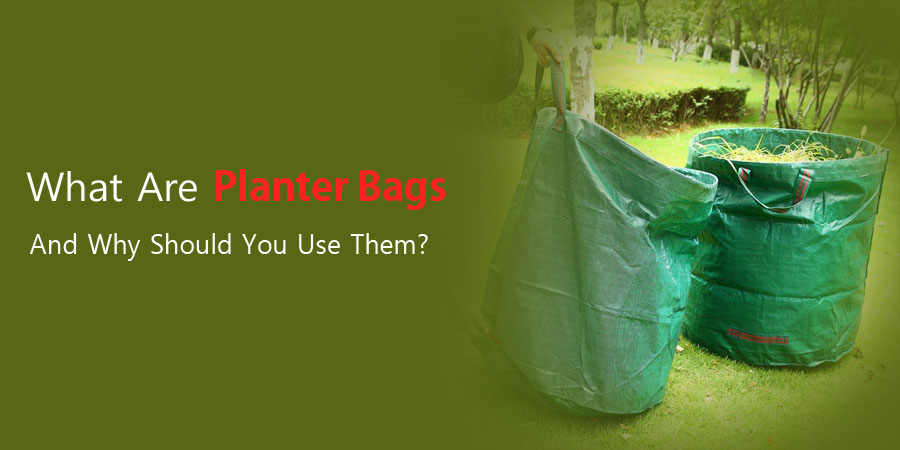 planter-bags