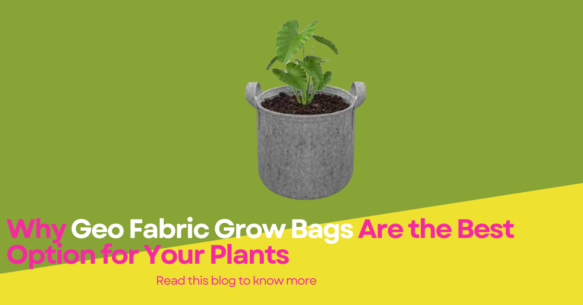 Why Geo Fabric Grow Bags Are the Best Option for Your Plants