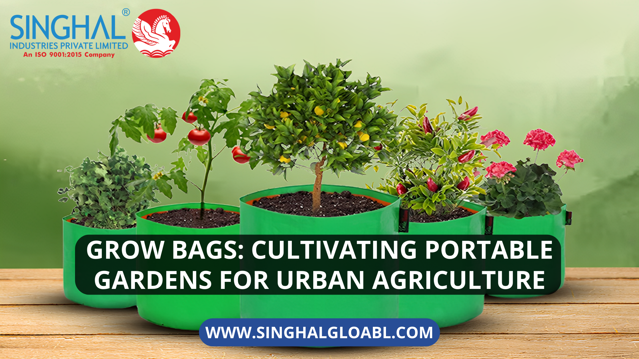Grow Bags
