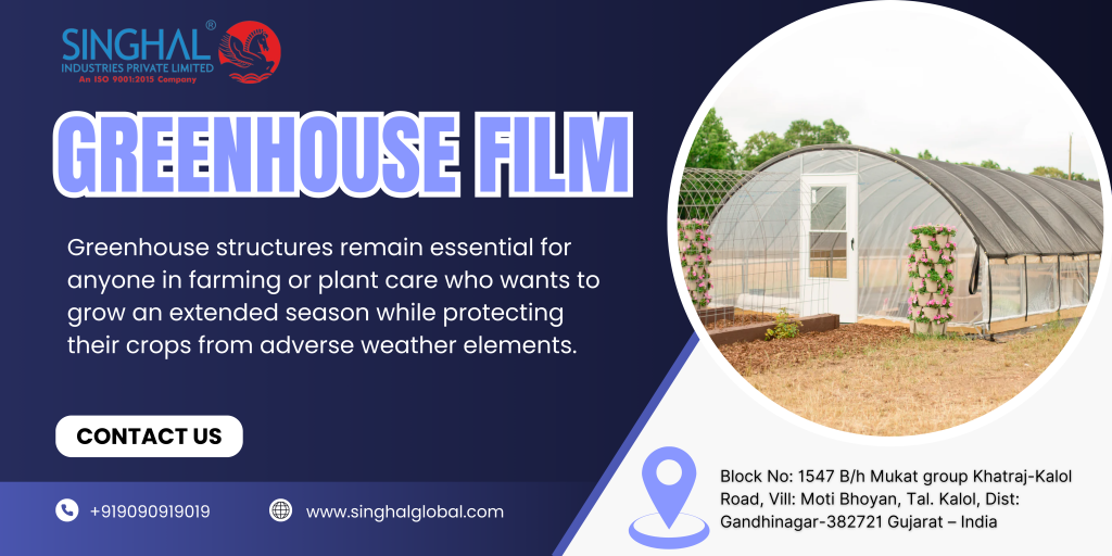 Plastic film greenhouse