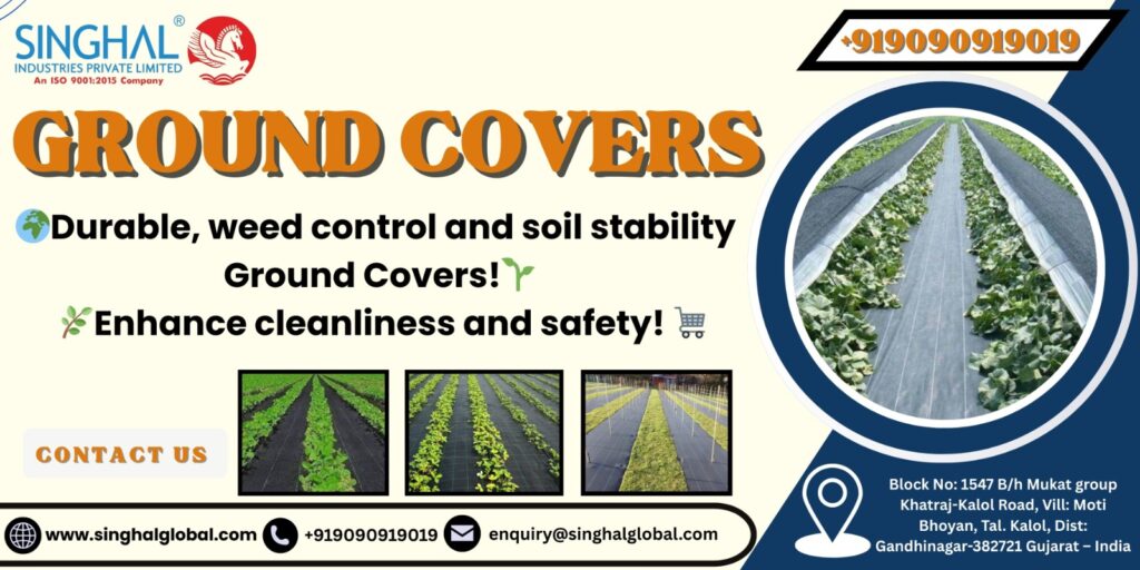 Ground Covers