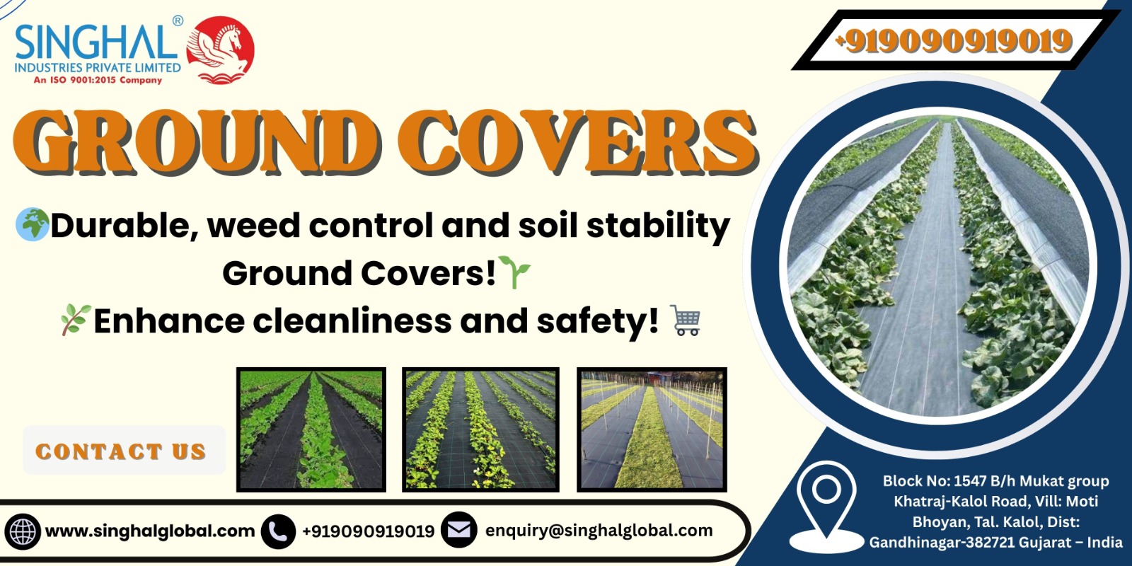 Ground Covers