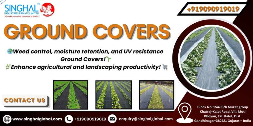 Ground Covers