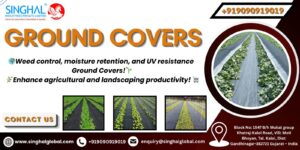 Ground Covers