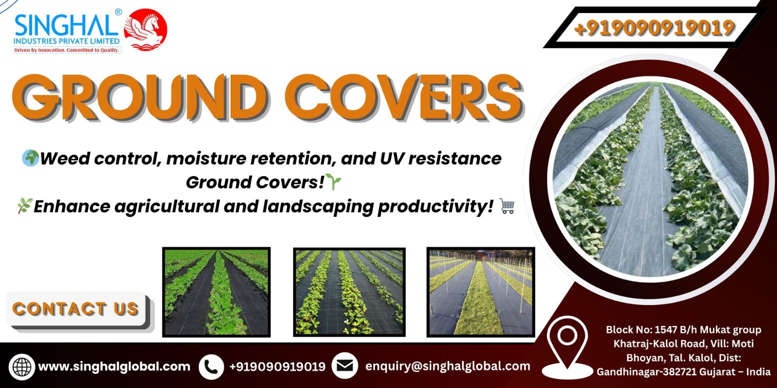Ground Covers