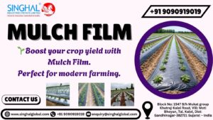 Mulch Film