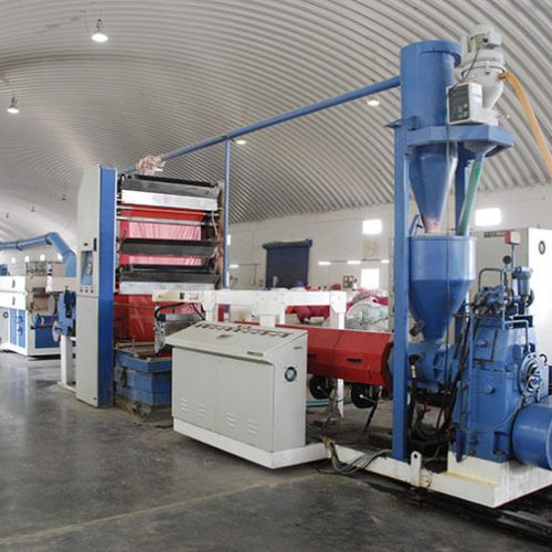 Tape Plant Image